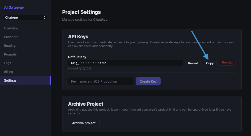 Copying the MAIG project API key from the dashboard
